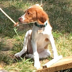 Meet your Posher, Ruby